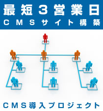 集客ホームページを最短3日で構築できる！CMS導入プロジェクトへ