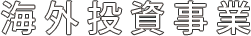 海外投資事業