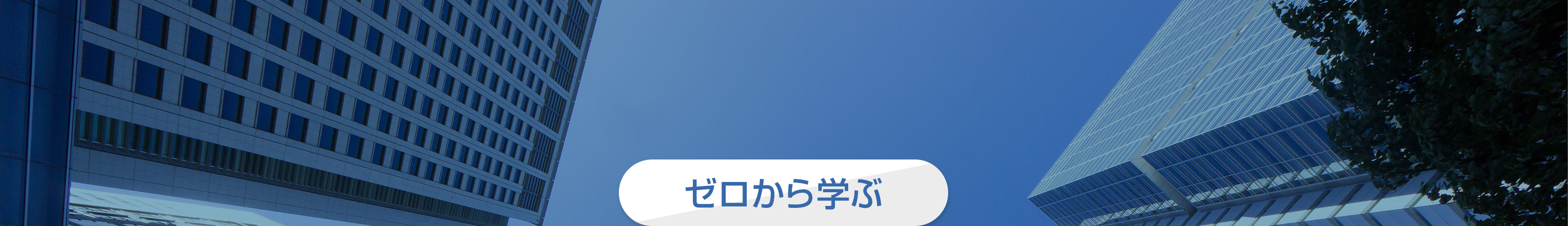 ゼロから学ぶ